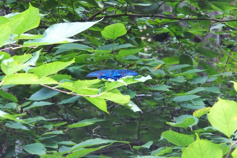 f0182513_21541965.jpg