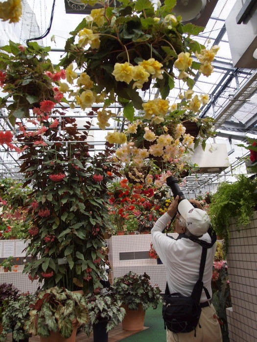 植物公園へ。。　その２_c0116915_073154.jpg