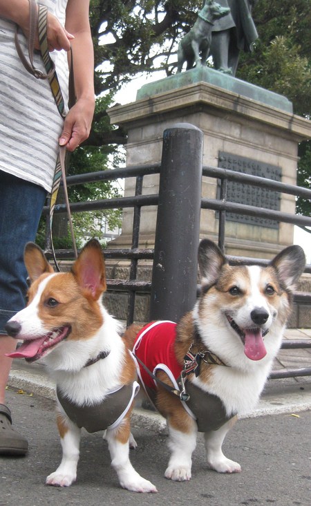 上野公園へ~♪_f0155118_11313079.jpg