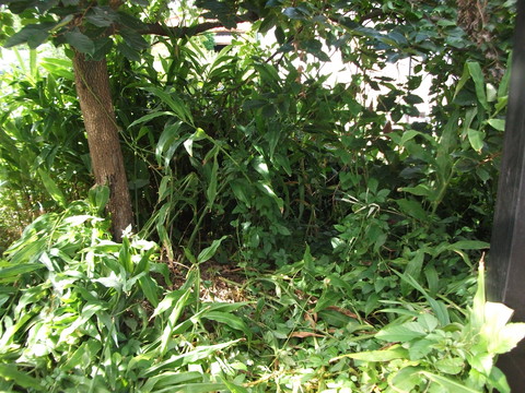 a0279321_1222529.jpg