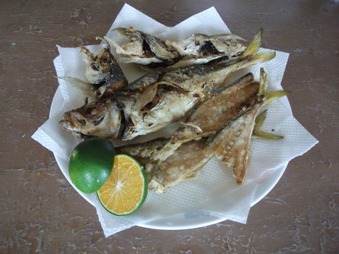 a0279321_13293149.jpg