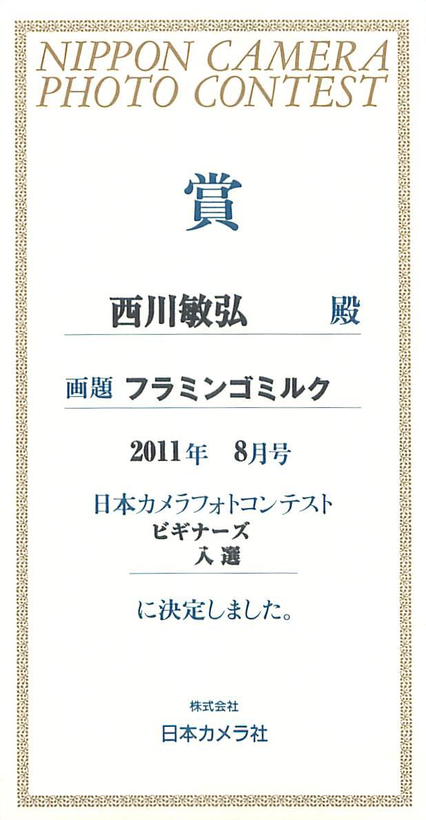 雑誌「日本カメラ」コンテスト 2011年8月号 ビギナー部門入選_a0288226_10343837.jpg