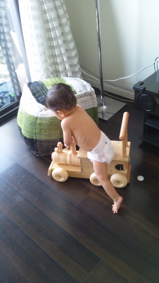 1歳1/2ヵ月になりました。_e0253026_14582854.jpg