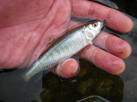 c0202727_5353485.jpg