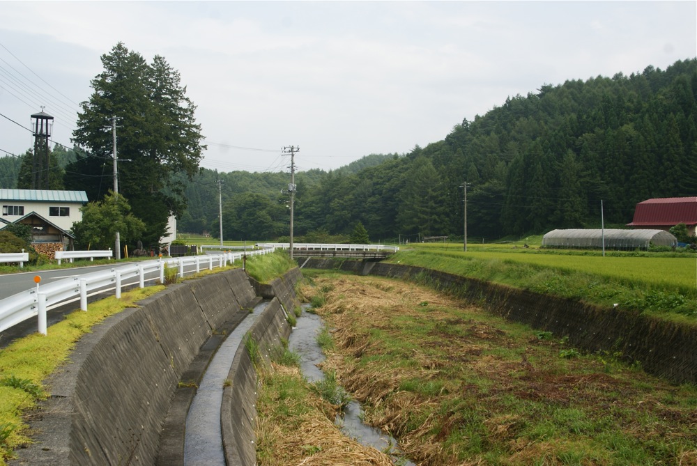 プチ鳥居と山の神_d0001843_23331714.jpg