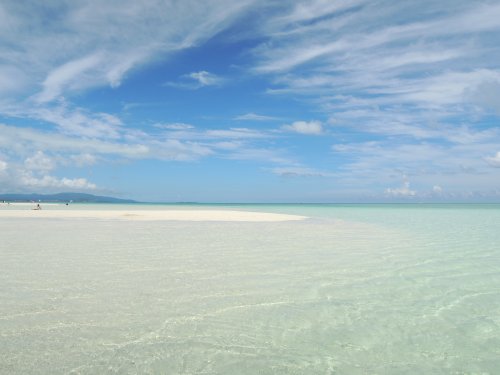 d0142944_011594.jpg