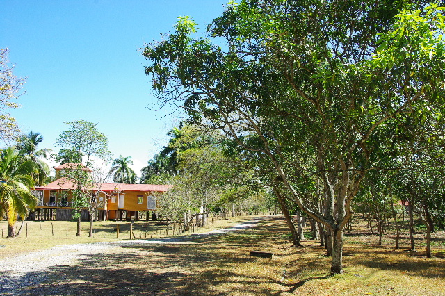 c0011649_6493290.jpg