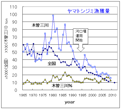 木曽三川のヤマトシジミ漁獲量 Beachmollusc ひむかのハマグリ