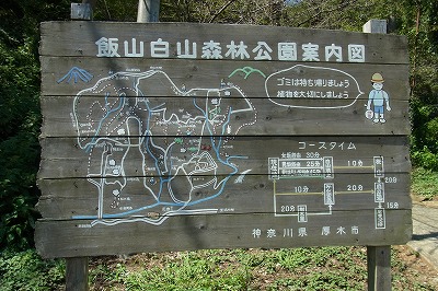 厚木 飯山白山森林公園 おきらくまま通信