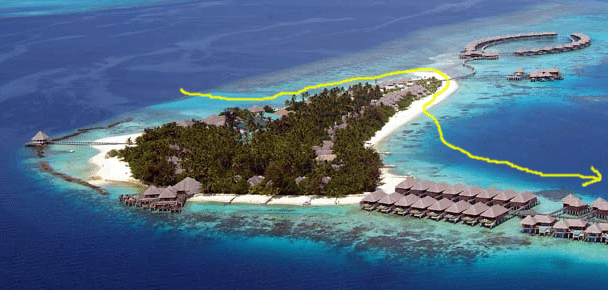 f0190653_1404218.gif