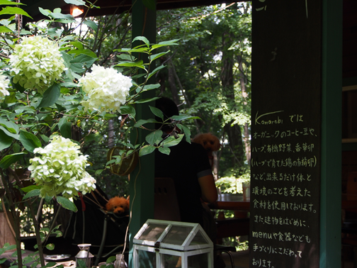 a0117655_11481769.png