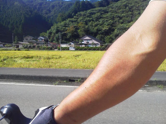 c0214359_23305827.jpg