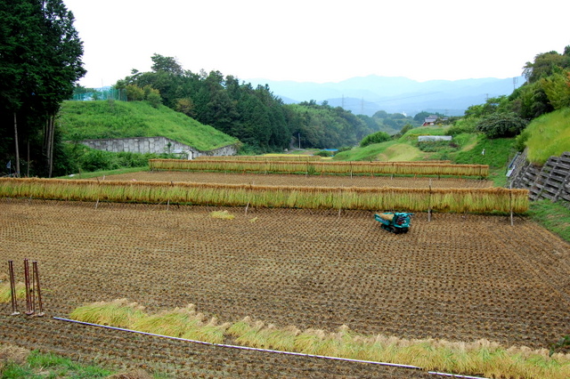 d0172270_0471952.jpg
