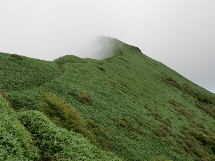 b0185573_434567.jpg