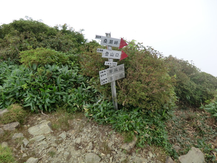 b0185573_9461020.jpg