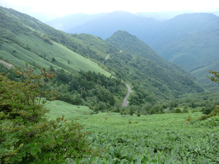 b0185573_950436.jpg