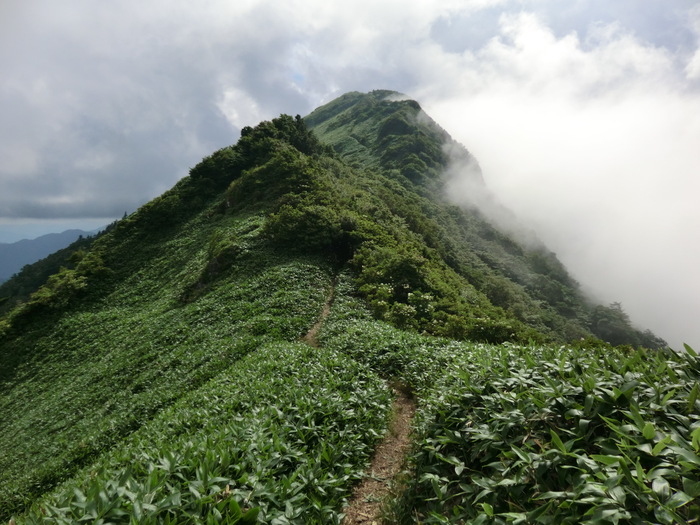 b0185573_955114.jpg