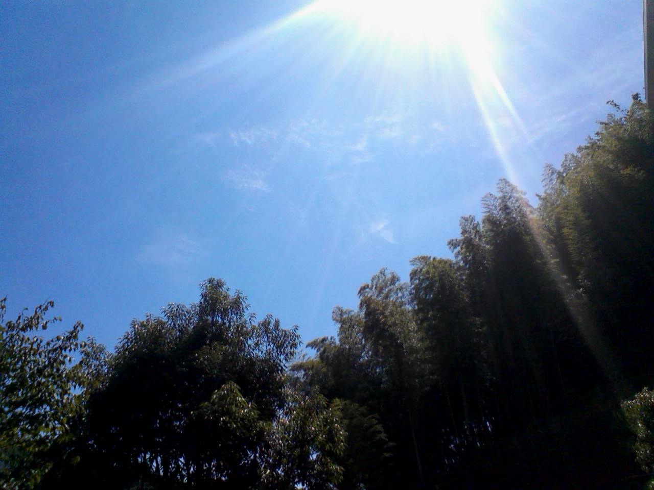 b0241873_2337467.jpg