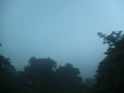 a0180681_15767.jpg