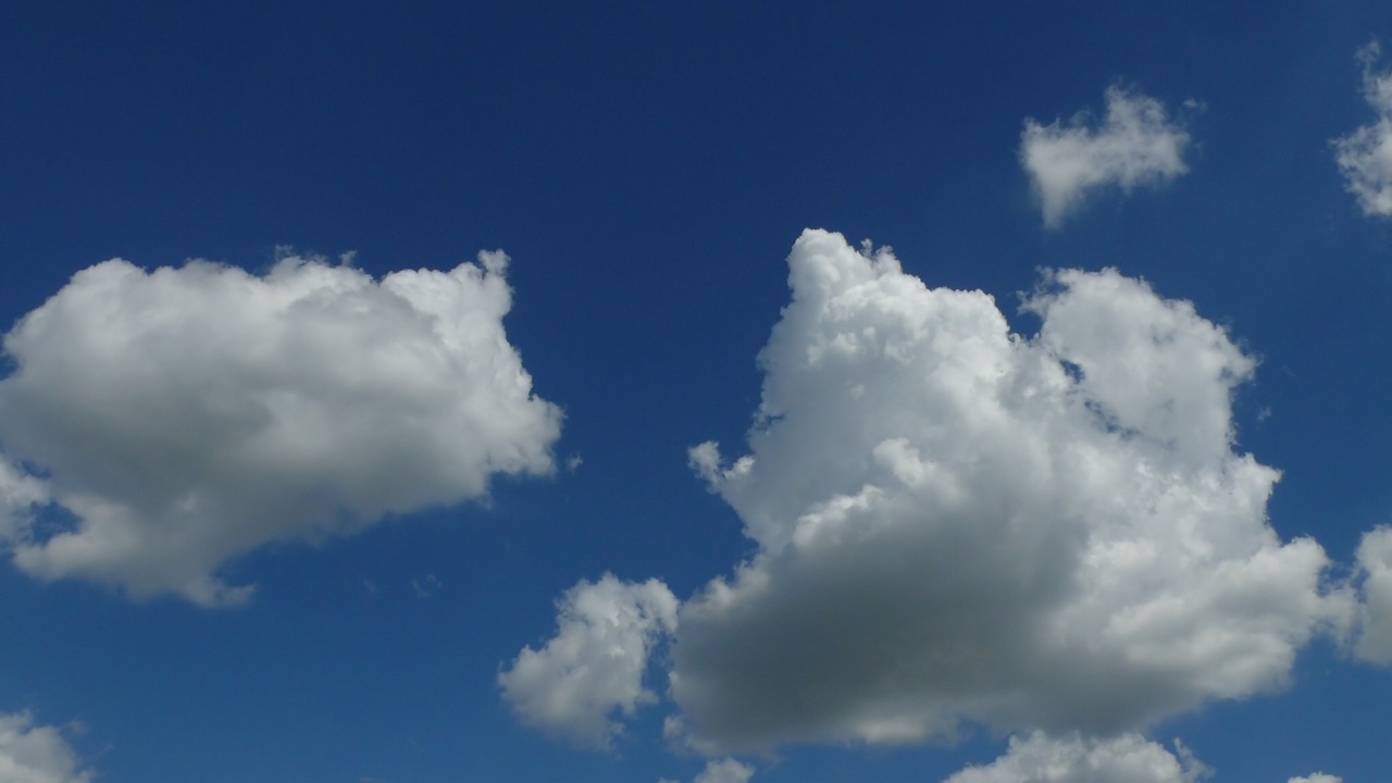 a0185081_17123210.jpg