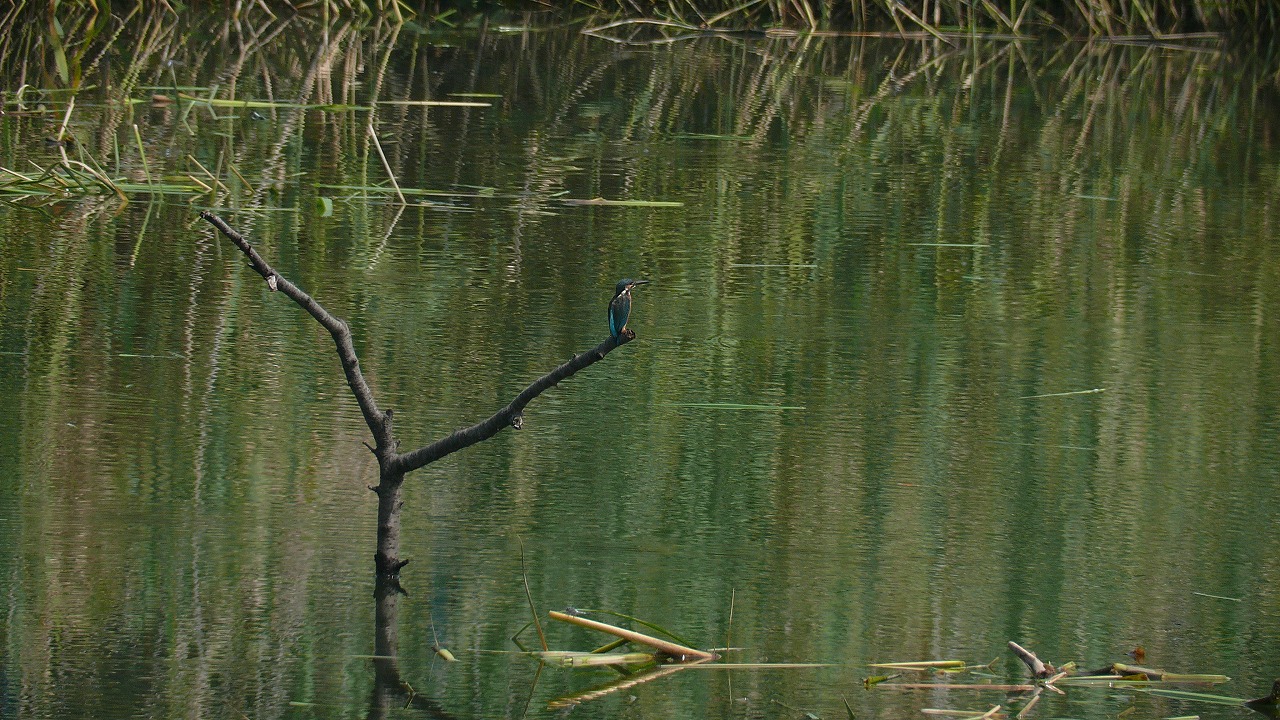 a0185081_17144845.jpg