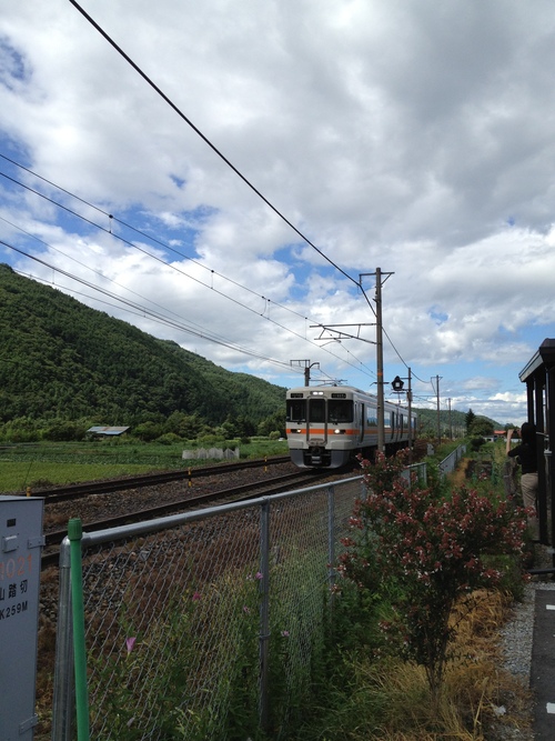 旅の〆は・・・トトロだった？？_d0143284_17594986.jpg