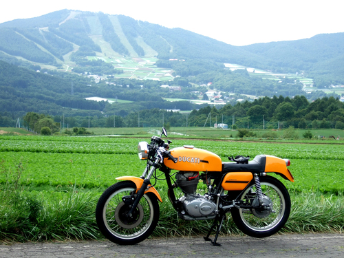 ちょっと試運転（のつもりが・・・）_e0237286_2215832.jpg