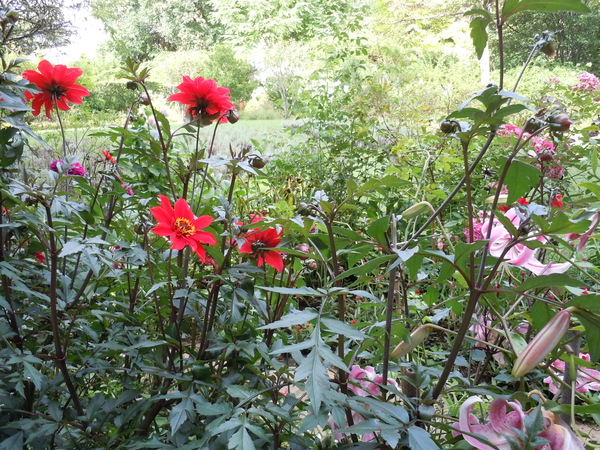 a0262487_23324631.jpg