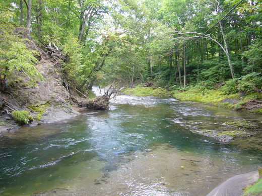 a0118989_2362831.jpg