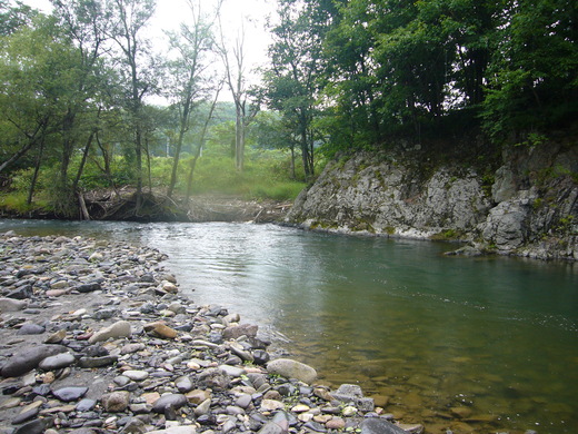 a0118989_237419.jpg