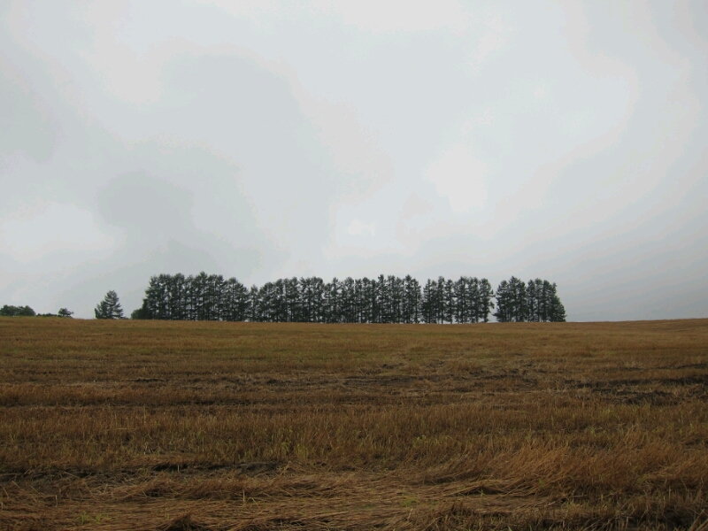 c0010590_0353019.jpg