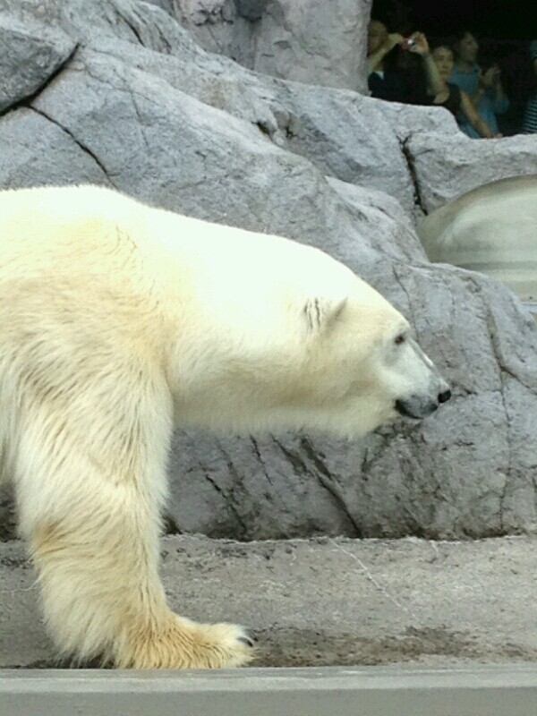 c0010590_0362657.jpg