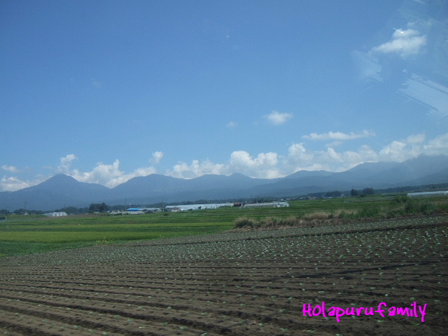 2012夏・八ヶ岳／蓼科～最終日_b0238691_1194780.jpg