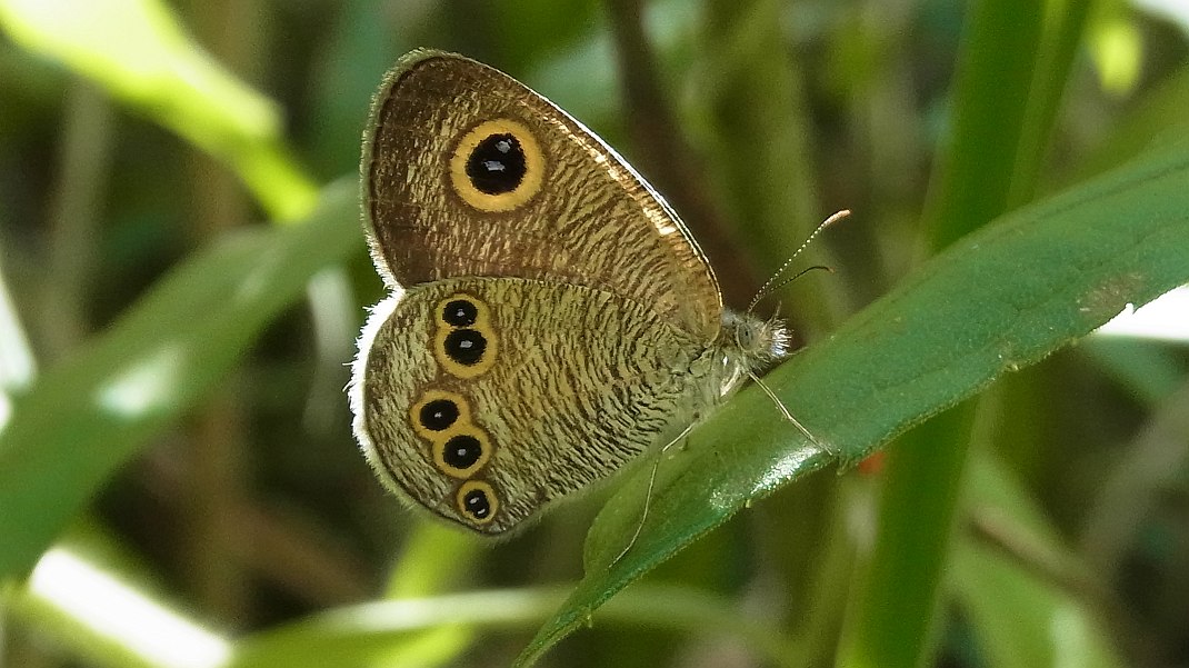 a0152692_175152100.jpg
