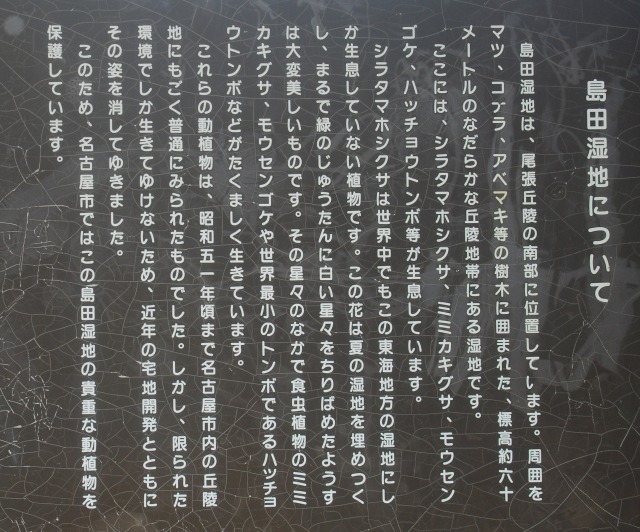 d0168292_1748777.jpg