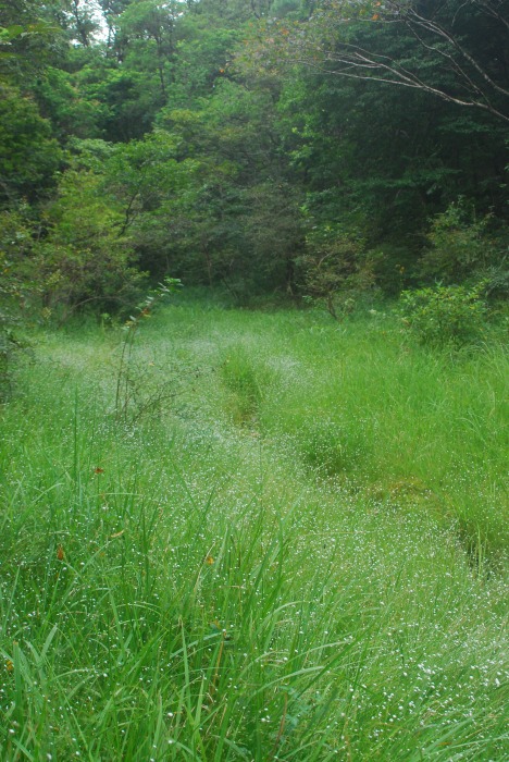 d0168292_17524990.jpg