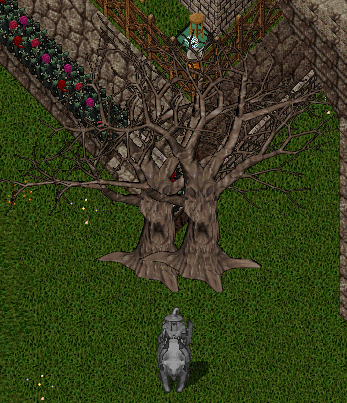 d0118293_19243486.gif