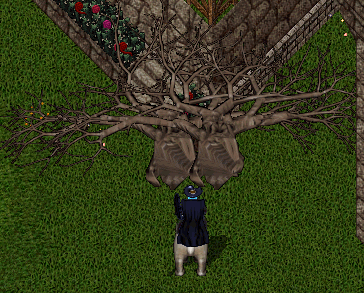 d0118293_19265913.gif