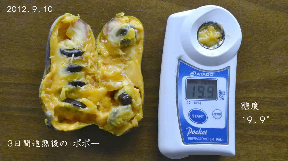 またまた「ポポー」話題、初生り珍味、追熟後初賞味、さて、その味は？_d0122497_1635398.jpg