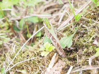 c0187298_20284750.jpg