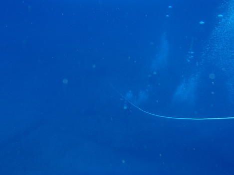 e0115199_0383064.jpg