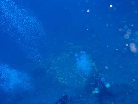 e0115199_0384064.jpg
