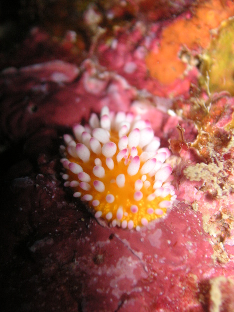 e0115199_0442882.jpg