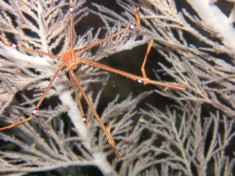 e0115199_0444128.jpg