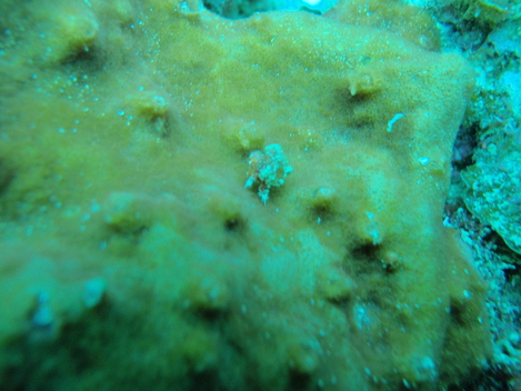 e0115199_0461699.jpg