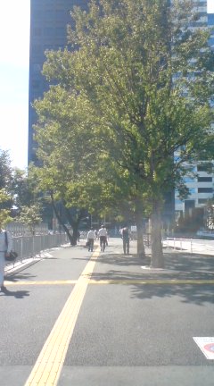 c0202101_011117.jpg