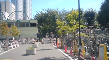 c0202101_011118.jpg