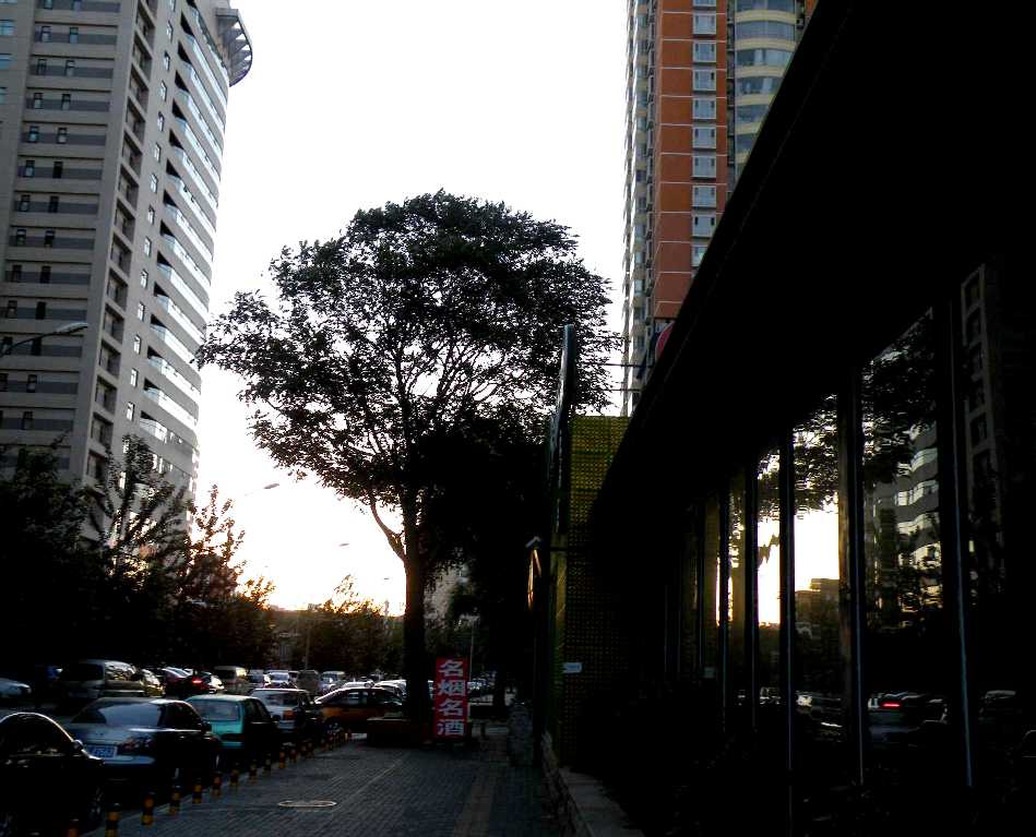 d0140806_16405735.jpg
