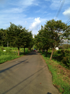 越生合宿 1日目_a0036808_16362043.jpg
