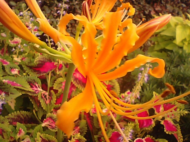 f0231709_11112628.jpg
